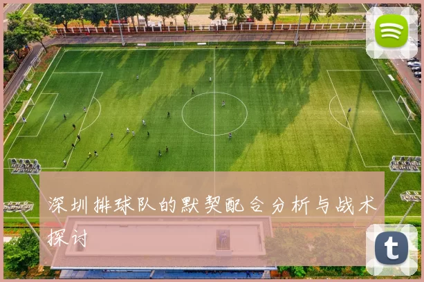 深圳排球队的默契配合分析与战术探讨