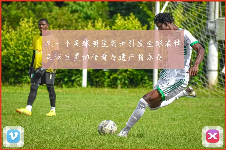 又一个足球明星离世引发全球哀悼足坛巨星的传奇与遗产将永存