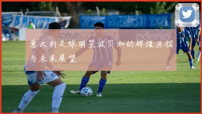 意大利足球明星波贝加的辉煌历程与未来展望