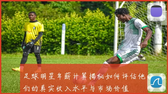足球明星年薪计算揭秘如何评估他们的真实收入水平与市场价值