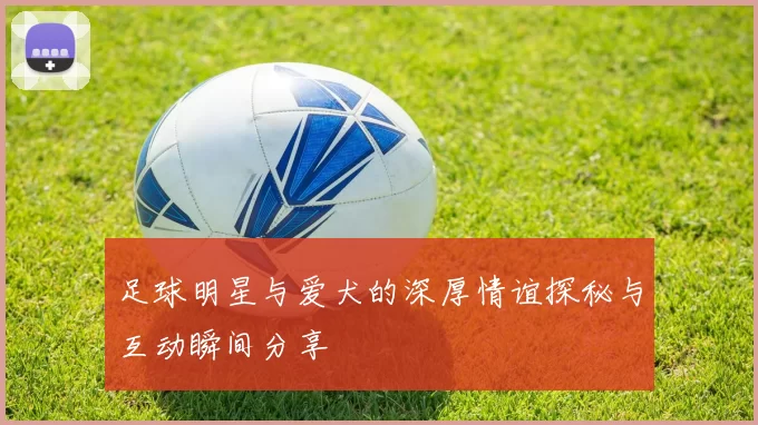 足球明星与爱犬的深厚情谊探秘与互动瞬间分享