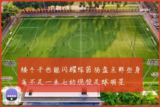 矮个子也能闪耀绿茵场盘点那些身高不足一米七的现役足球明星