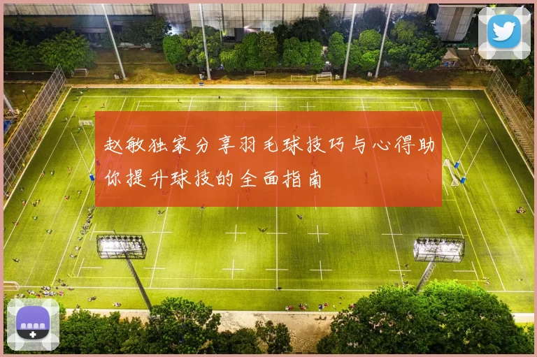 赵敏独家分享羽毛球技巧与心得助你提升球技的全面指南