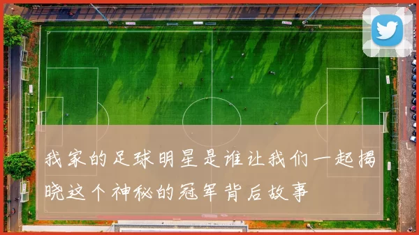 我家的足球明星是谁让我们一起揭晓这个神秘的冠军背后故事