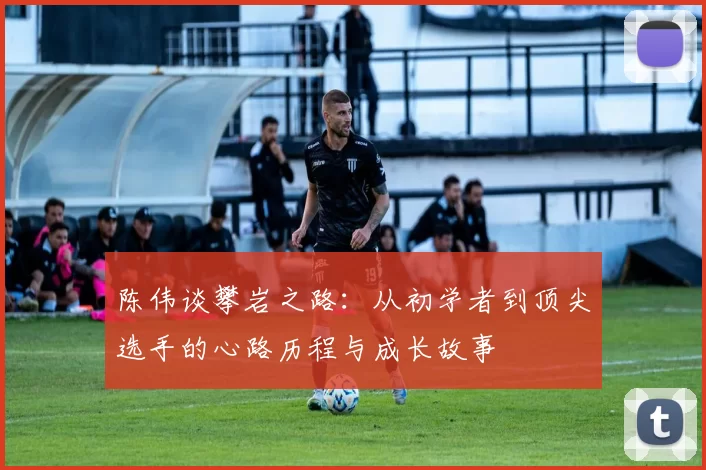 陈伟谈攀岩之路：从初学者到顶尖选手的心路历程与成长故事