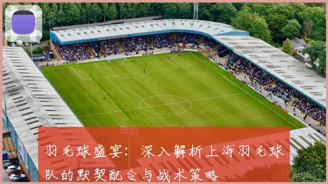 羽毛球盛宴：深入解析上海羽毛球队的默契配合与战术策略