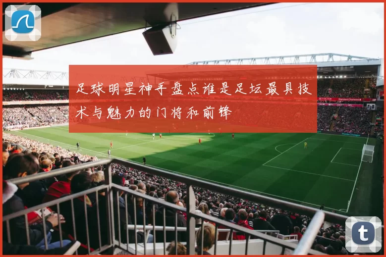 足球明星神手盘点谁是足坛最具技术与魅力的门将和前锋