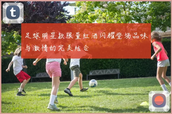 足球明星款限量红酒闪耀登场品味与激情的完美结合