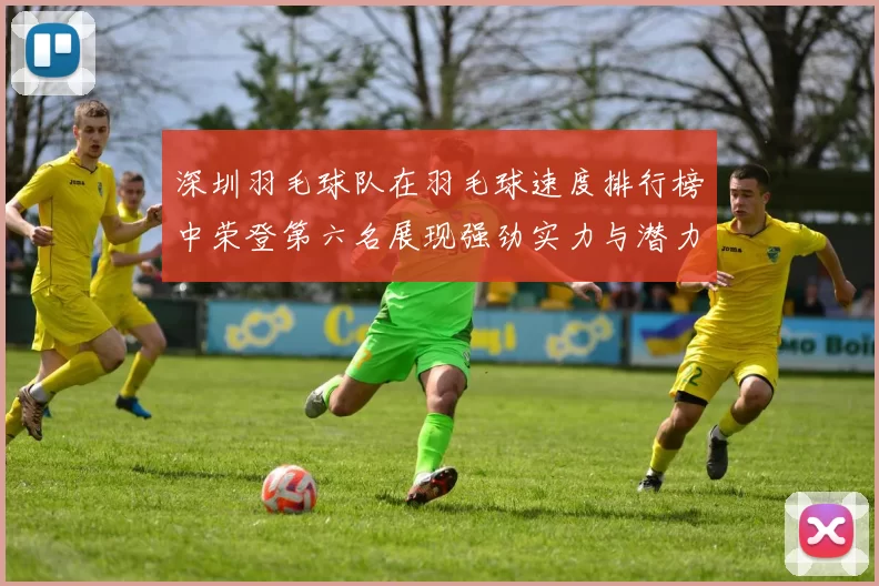 深圳羽毛球队在羽毛球速度排行榜中荣登第六名展现强劲实力与潜力