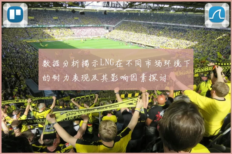 数据分析揭示LNG在不同市场环境下的耐力表现及其影响因素探讨