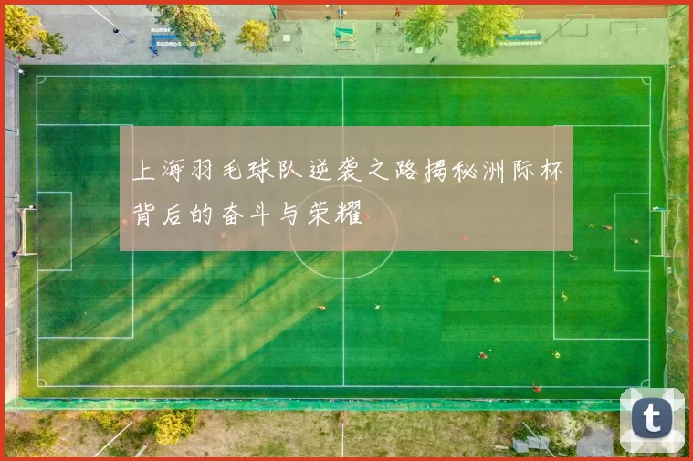 上海羽毛球队逆袭之路揭秘洲际杯背后的奋斗与荣耀
