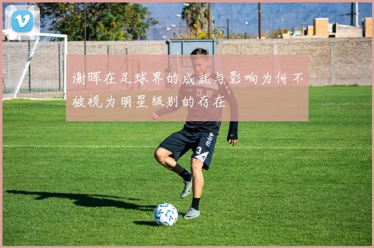 谢晖在足球界的成就与影响为何不被视为明星级别的存在