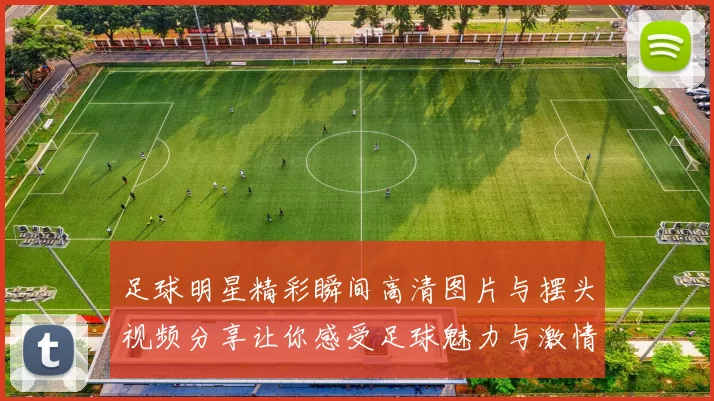 足球明星精彩瞬间高清图片与摆头视频分享让你感受足球魅力与激情