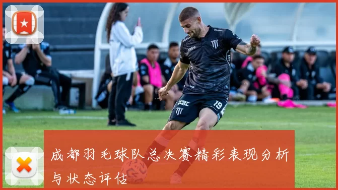 成都羽毛球队总决赛精彩表现分析与状态评估