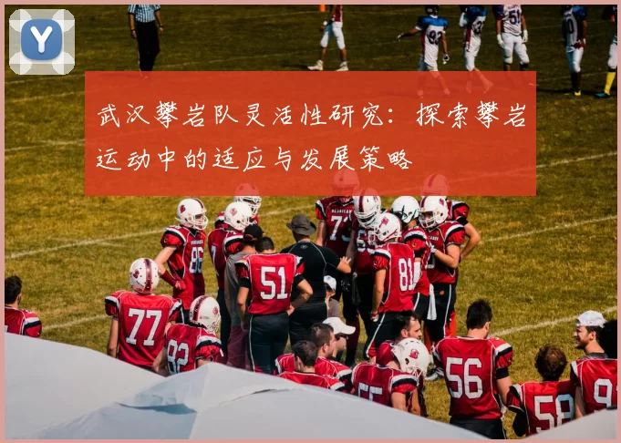 武汉攀岩队灵活性研究：探索攀岩运动中的适应与发展策略