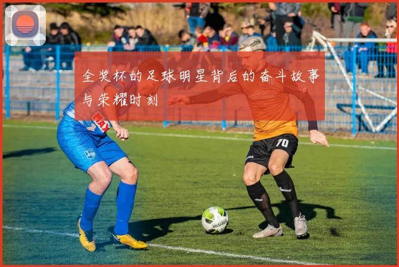 全奖杯的足球明星背后的奋斗故事与荣耀时刻