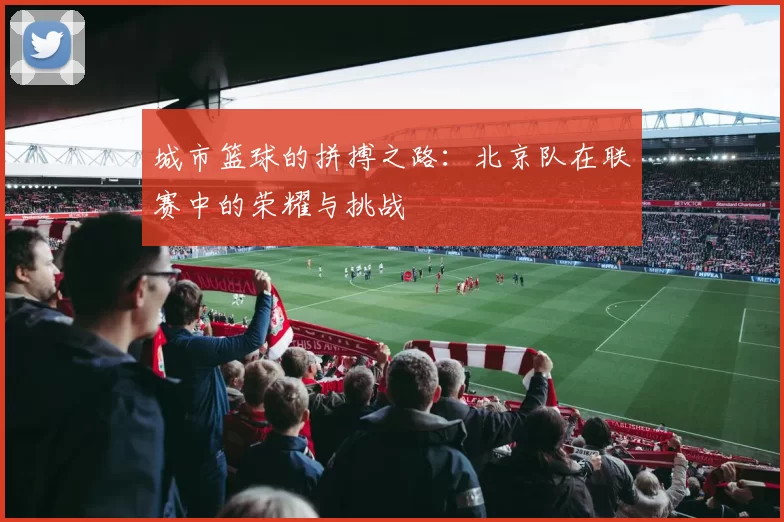 城市篮球的拼搏之路：北京队在联赛中的荣耀与挑战
