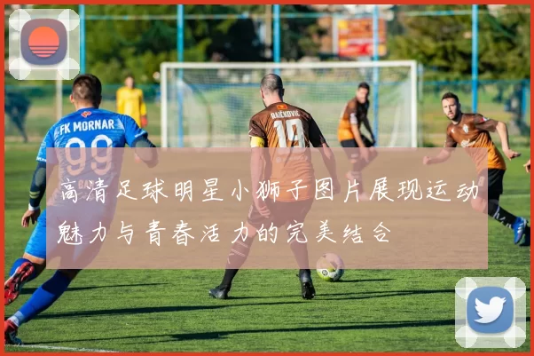 高清足球明星小狮子图片展现运动魅力与青春活力的完美结合