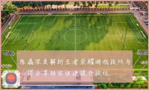陈磊深度解析王者荣耀游戏技巧与心得分享助你快速提升段位
