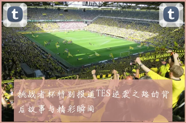 挑战者杯特别报道TES逆袭之路的背后故事与精彩瞬间